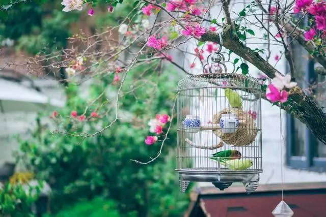 悠然別苑民宿設(shè)計(jì)，聽海風(fēng)的聲音