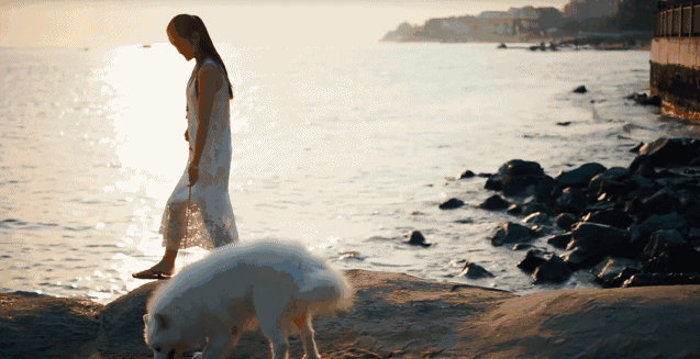 悠然別苑民宿設(shè)計(jì)，聽(tīng)海風(fēng)的聲音