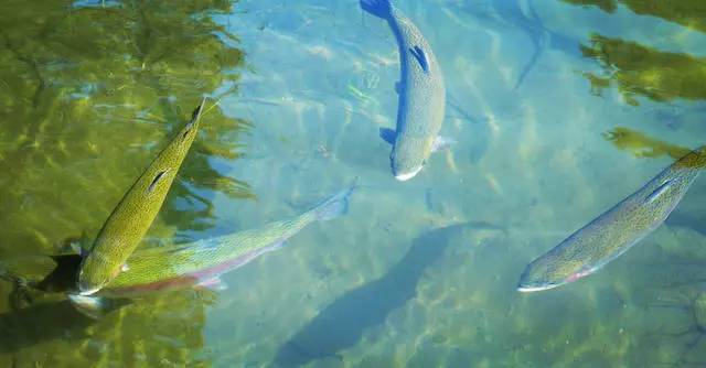 中香界長城小院，向往的最初生活