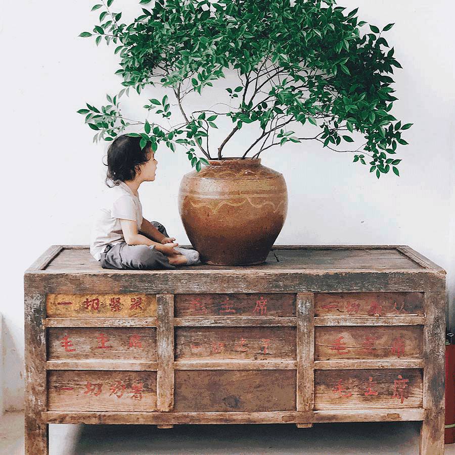 西坡千島湖民宿酒店，瓦爾登湖的自由生活