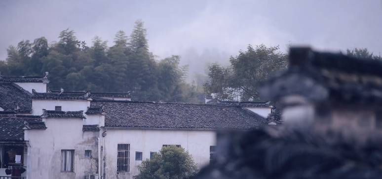 南屏喜舍民宿，從南方飛入徽州白墻灰瓦的歸燕