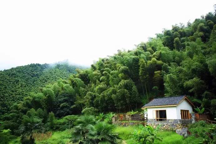 桐廬秘境民宿，不一樣人間秘境山鄉(xiāng)生活