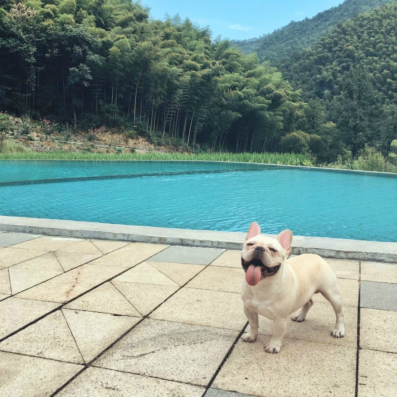 桐廬秘境民宿，不一樣人間秘境山鄉(xiāng)生活