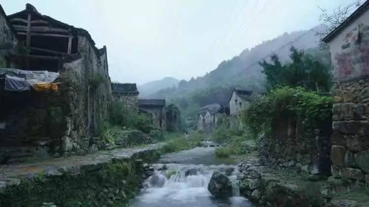 草宿民宿，愿做一顆草向往山間無拘無束的生活