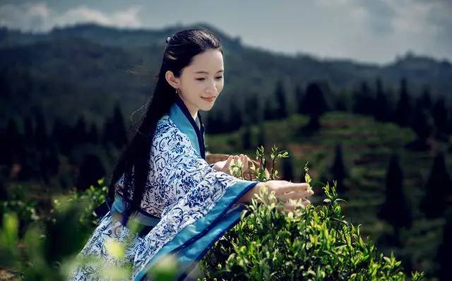 熹園茶宿，禪茶一宿悠然山水間