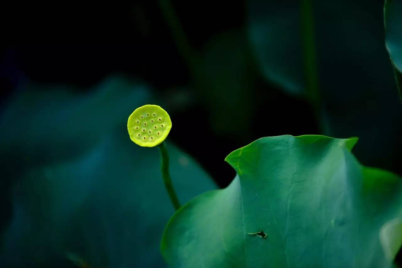 熹園茶宿，禪茶一宿悠然山水間