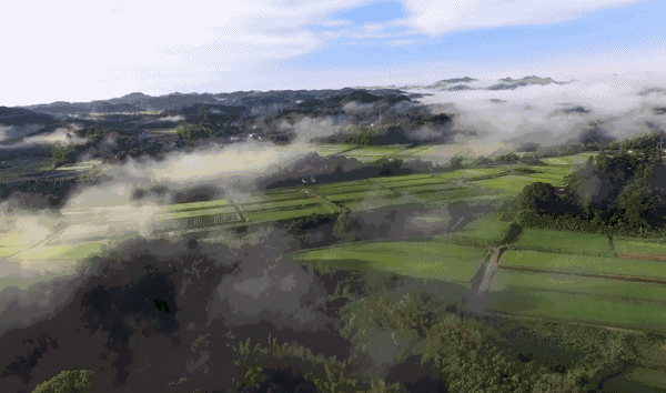 熹園茶宿，禪茶一宿悠然山水間