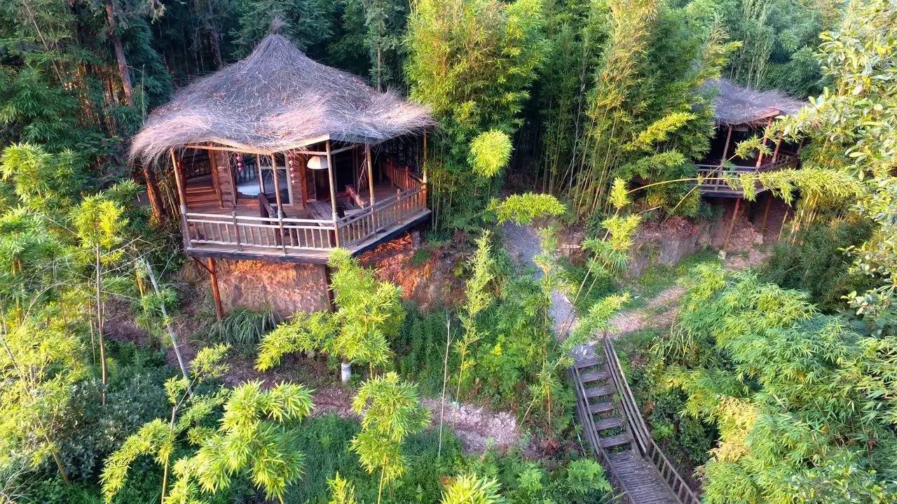 大來山樹屋民宿，喚醒古老村莊留住青山綠水