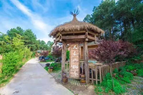 大來山樹屋民宿，喚醒古老村莊留住青山綠水