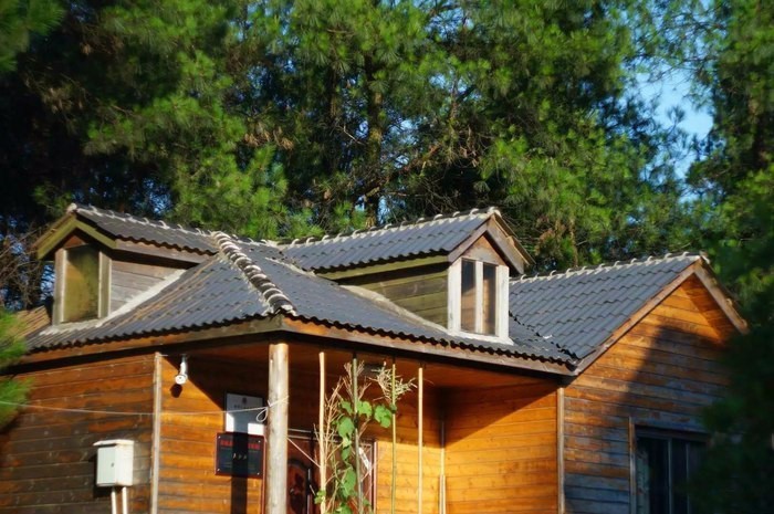 大來山樹屋民宿，喚醒古老村莊留住青山綠水