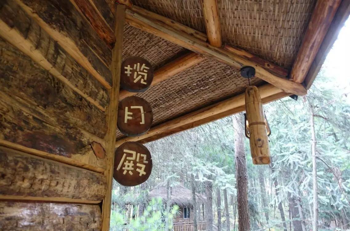 大來山樹屋民宿，喚醒古老村莊留住青山綠水