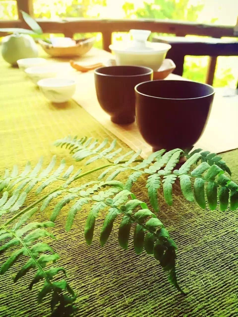 大來山樹屋民宿，喚醒古老村莊留住青山綠水