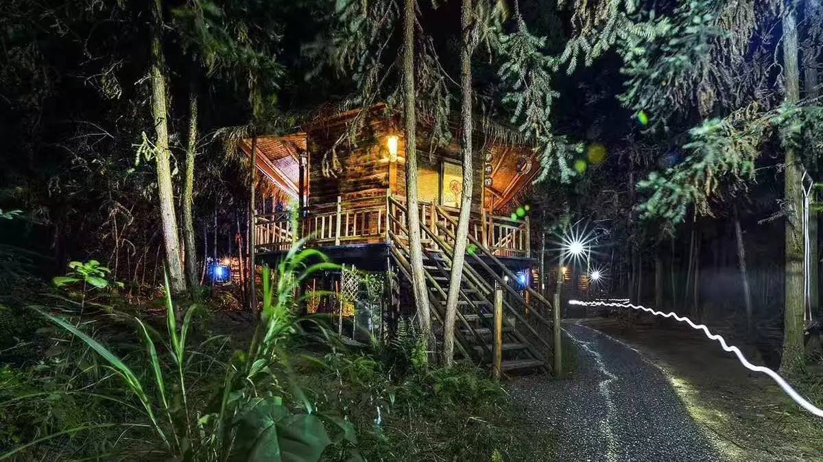 大來山樹屋民宿，喚醒古老村莊留住青山綠水