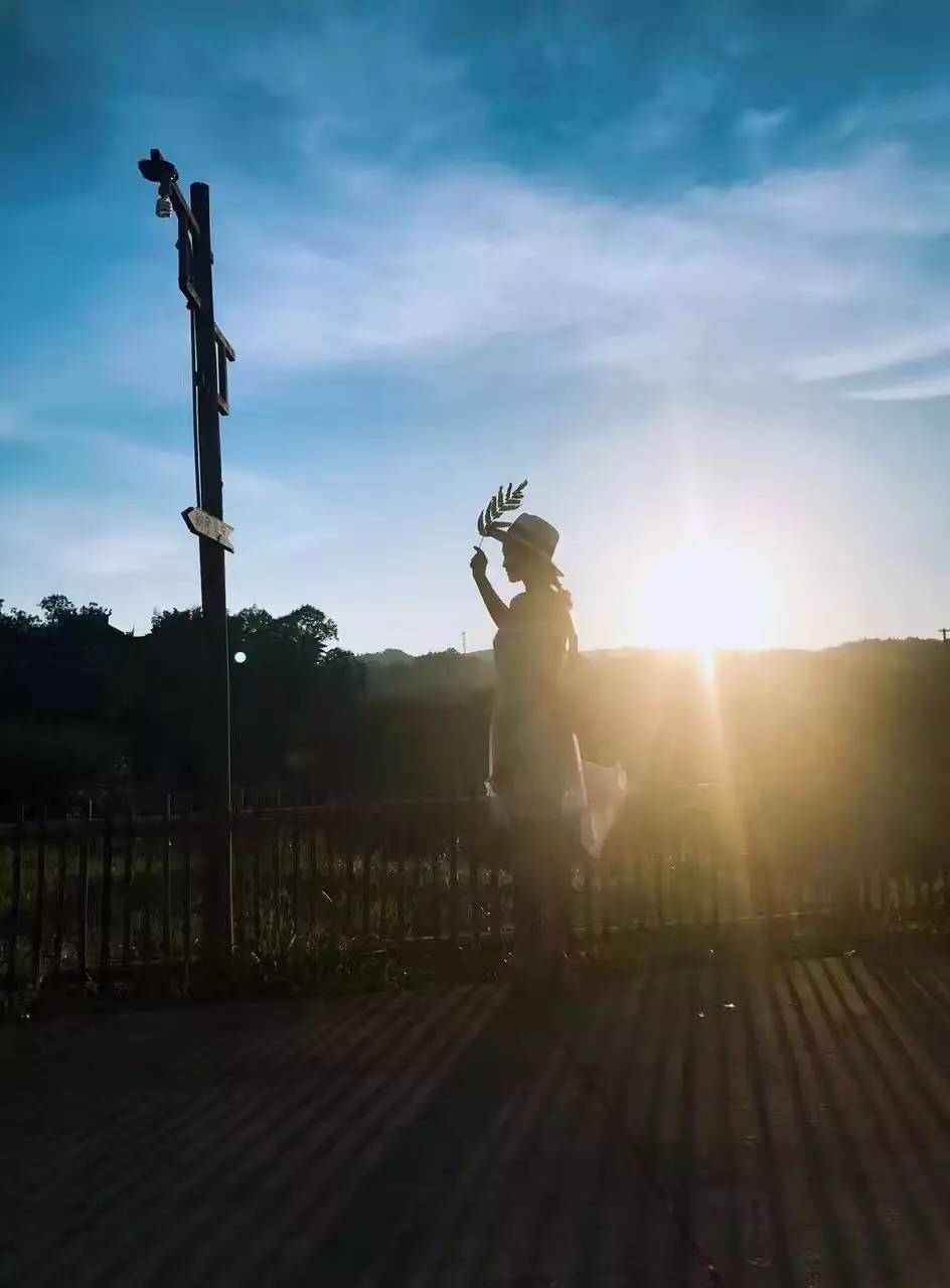 大來山樹屋民宿，喚醒古老村莊留住青山綠水