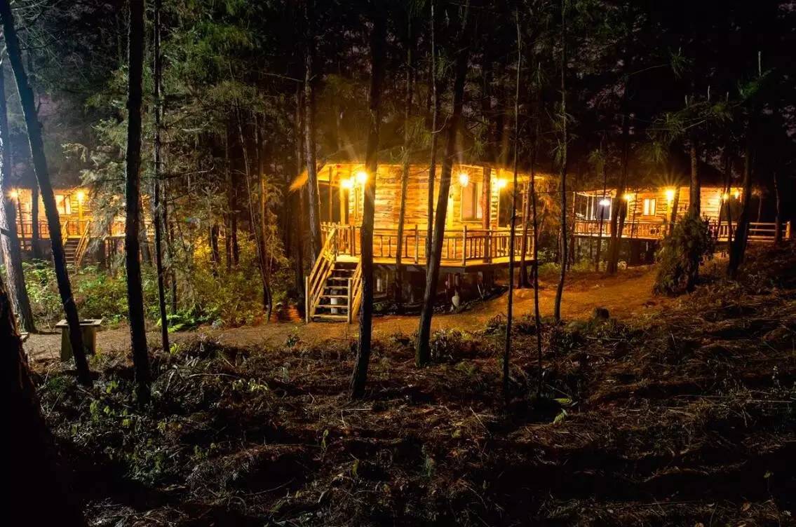 大來山樹屋民宿，喚醒古老村莊留住青山綠水