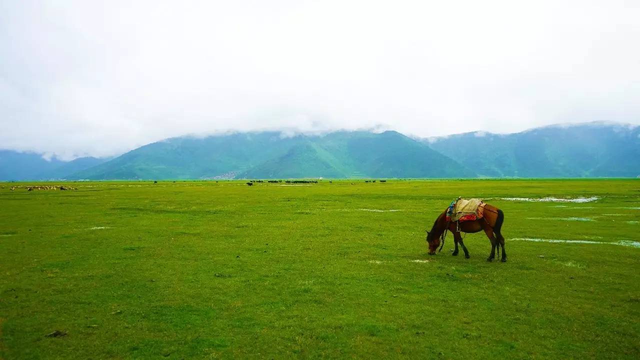 卓廬若家民宿，體味百年老宅的韻味