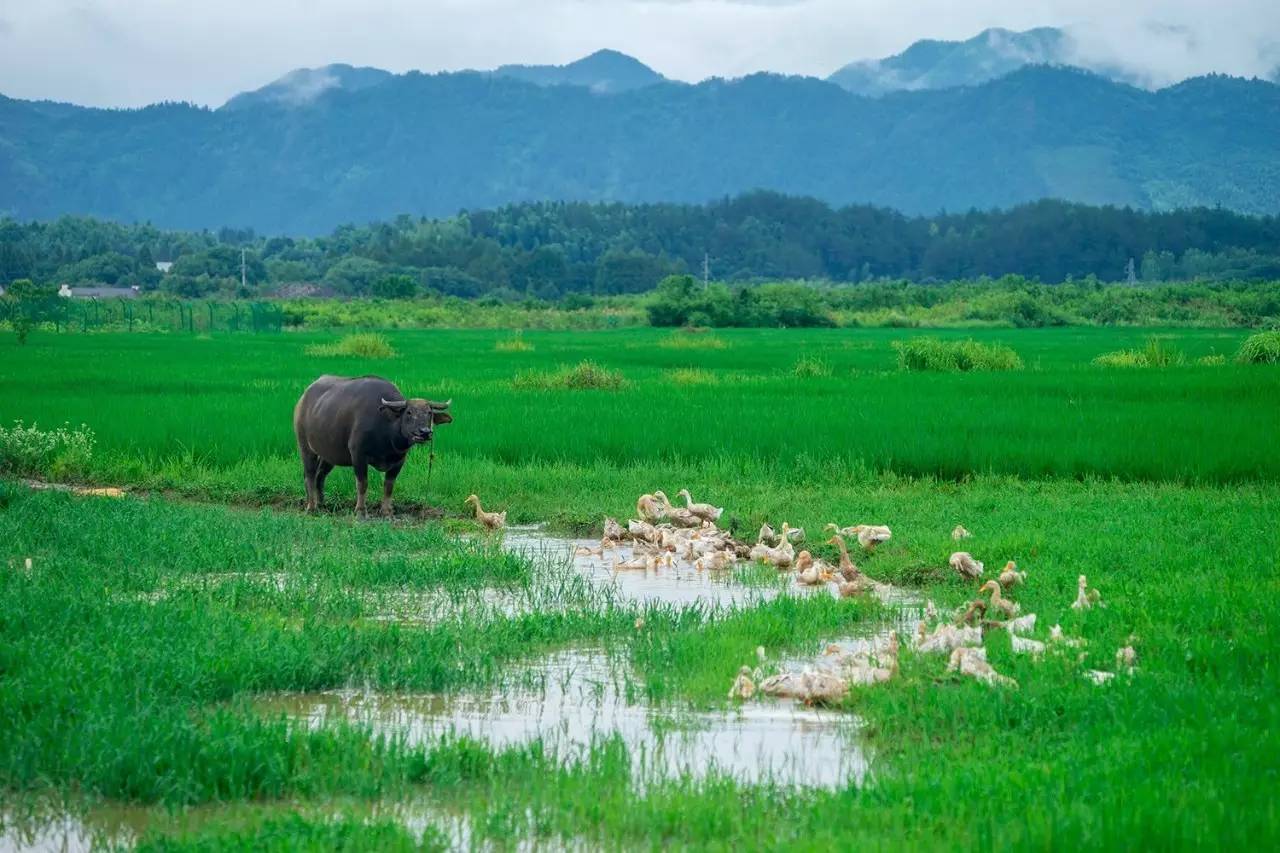 碧山·工銷社，傳承手藝延續(xù)文化
