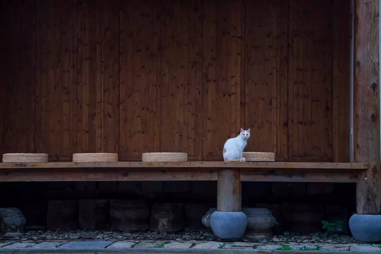 碧山·工銷社，傳承手藝延續(xù)文化