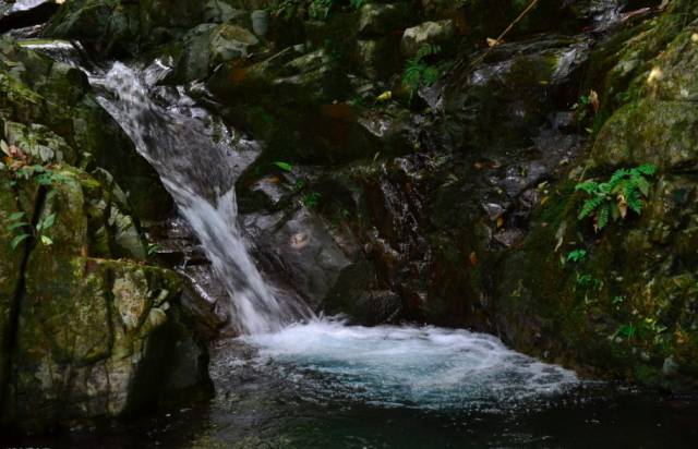 不舍·野馬嶺中國(guó)村民宿，樂(lè)在其中不忘初心