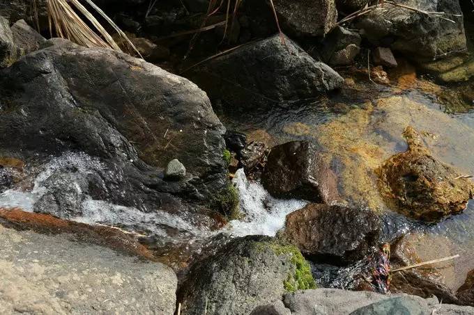 不舍·野馬嶺中國村民宿，樂在其中不忘初心