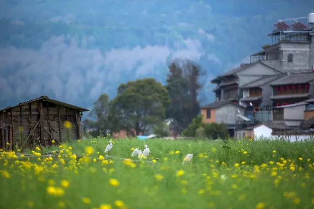 山居秋暝民宿，在大龍井古鎮(zhèn)體驗民族文化