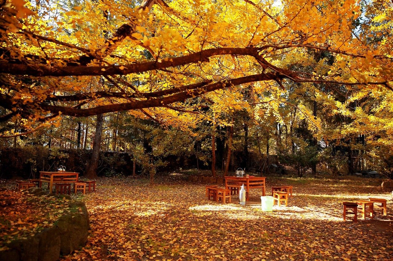 山居秋暝民宿，在大龍井古鎮(zhèn)體驗(yàn)民族文化