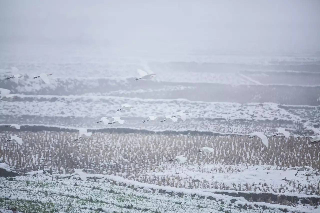 山居秋暝民宿，在大龍井古鎮(zhèn)體驗(yàn)民族文化