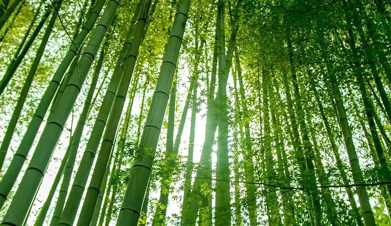 荒無舍民宿，山腳下日出而作日落而息