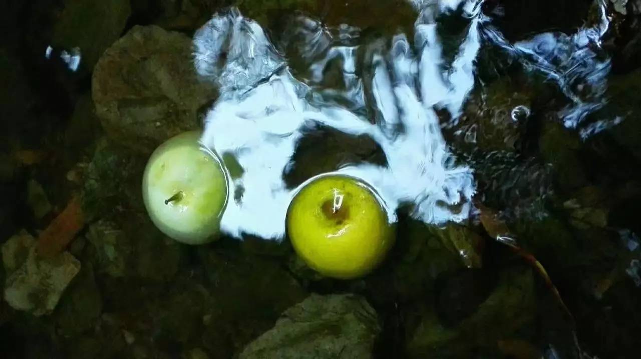 荒無舍民宿，山腳下日出而作日落而息