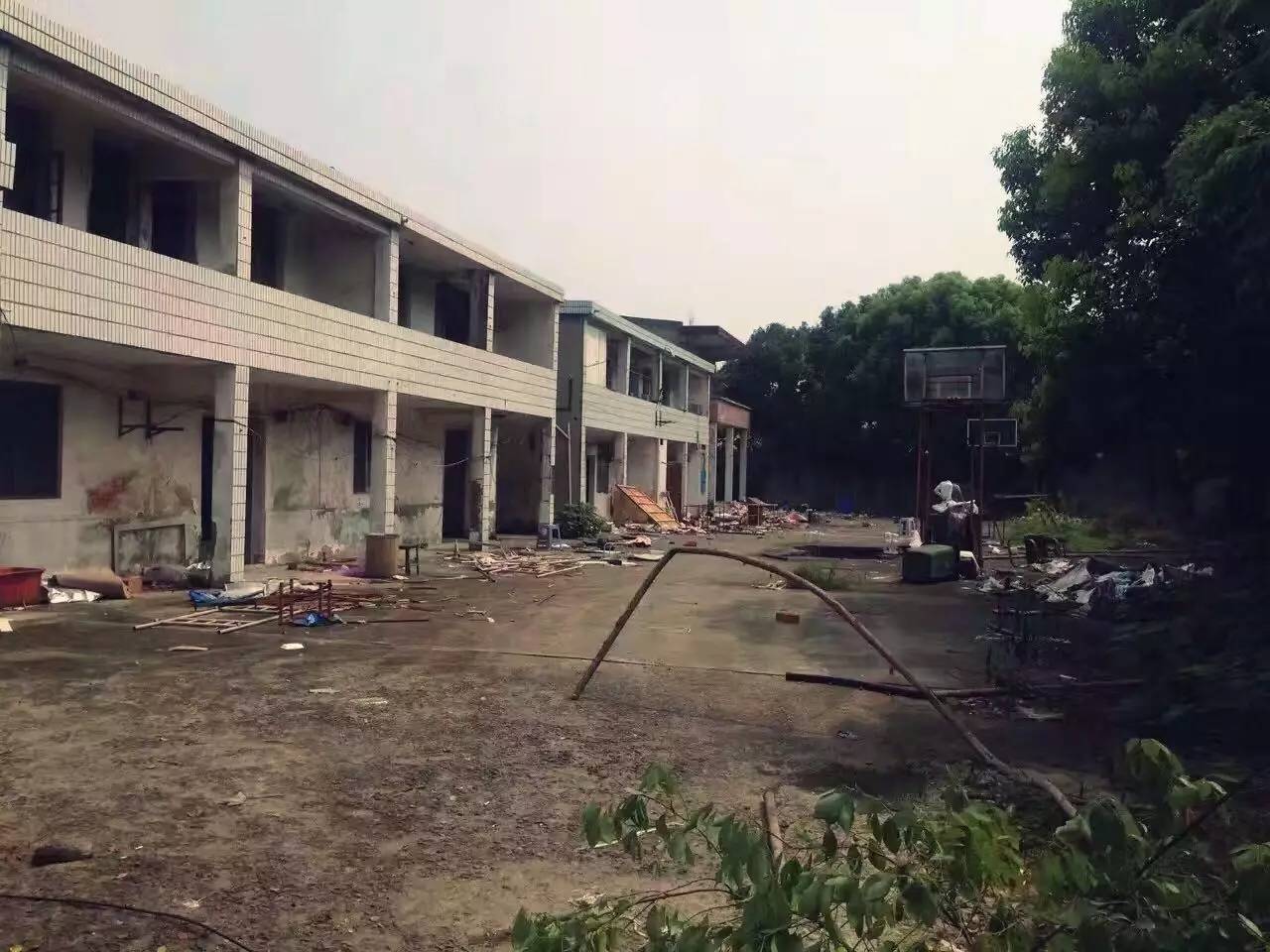 上海四舍，遠(yuǎn)離城市溫暖自由靈魂的世外江湖