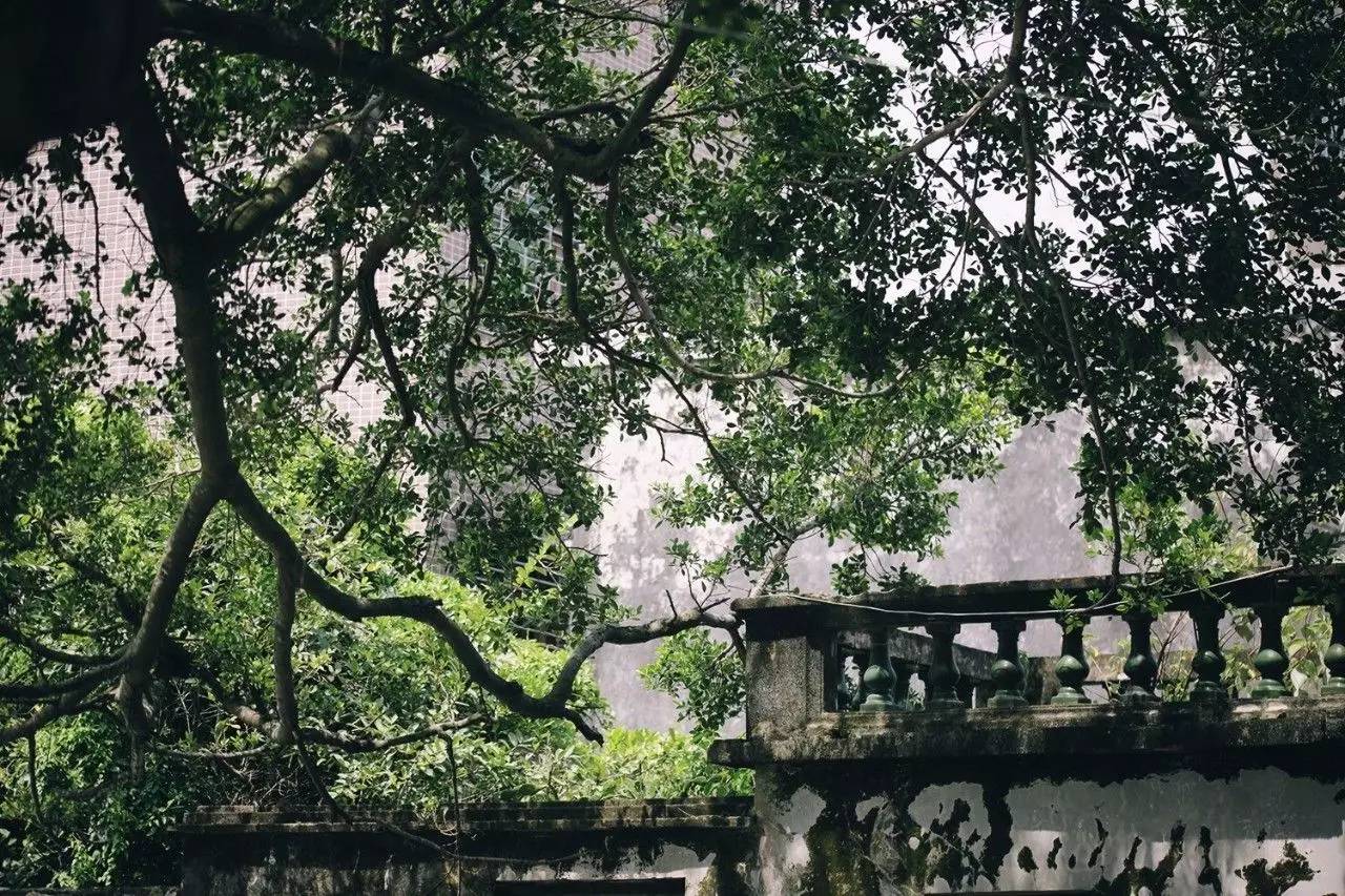 悠居·三朝舍民宿，帶你吃喝玩轉(zhuǎn)南澳島