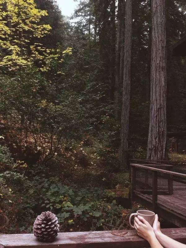 住進(jìn)山林享受一個(gè)人的狂歡，愛(ài)上中式裝修的1