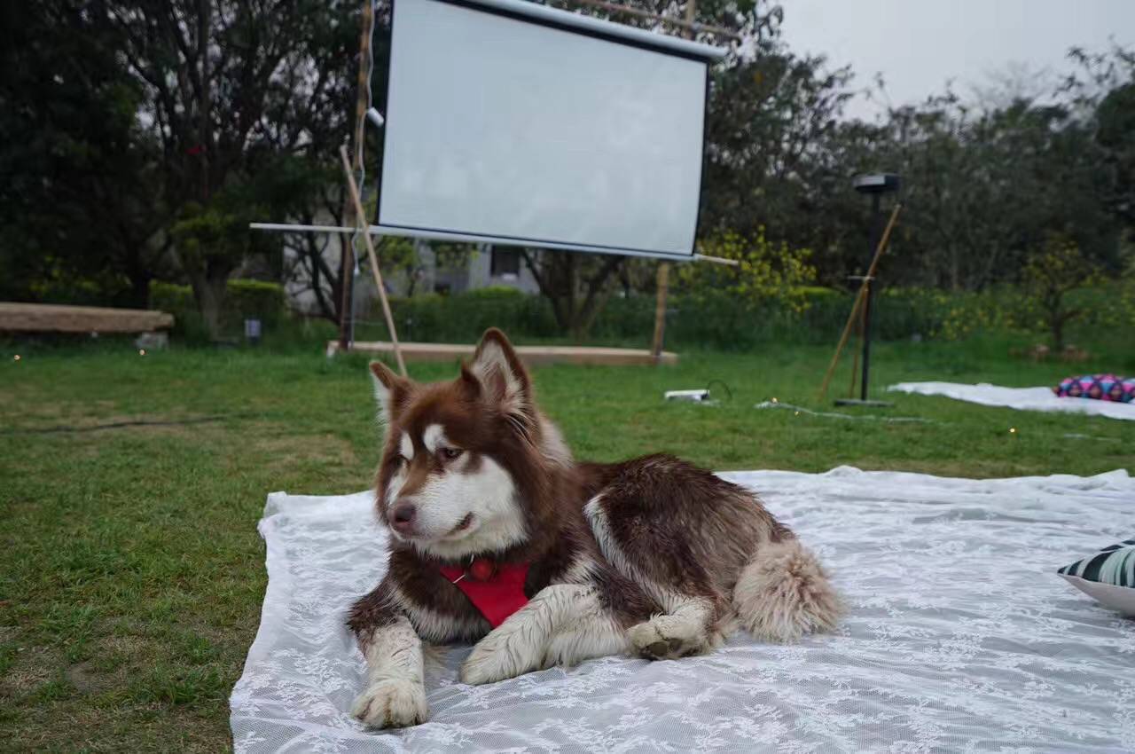 在小筑沐野民宿，不被年齡定義和束縛活出自己