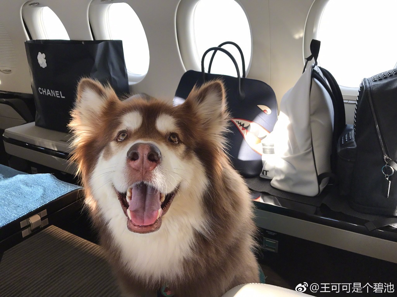 在小筑沐野民宿，不被年齡定義和束縛活出自己