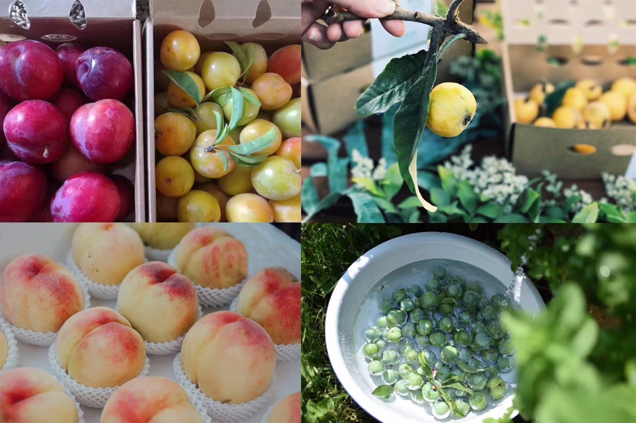 在小筑沐野民宿，不被年齡定義和束縛活出自己