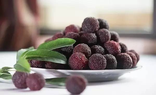 蘇東坡最能吃，舌尖上的中國美食