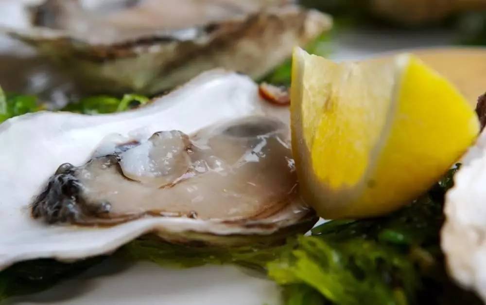 蘇東坡最能吃，舌尖上的中國美食