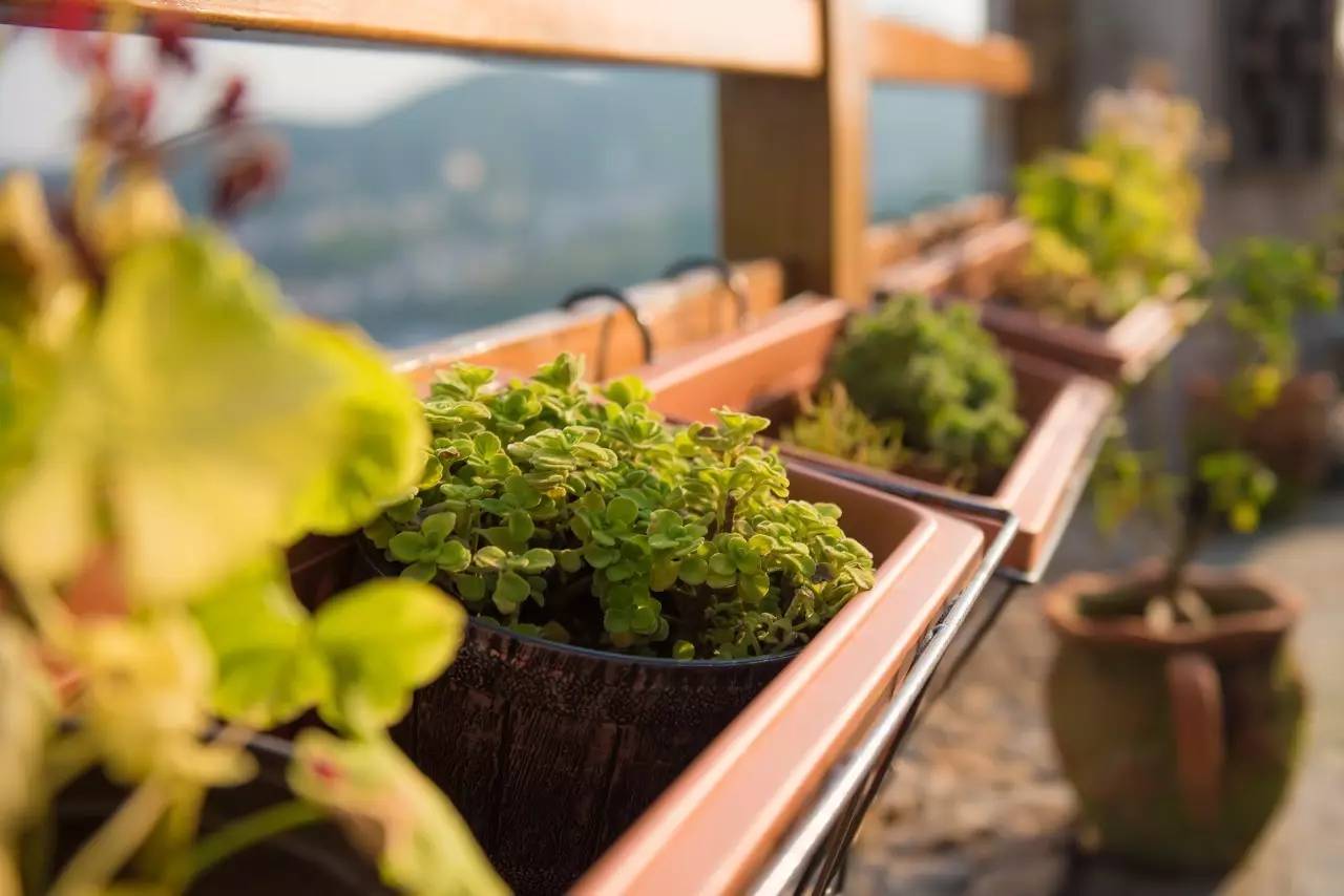 靜沁苑民宿，在海角一隅取一絲寧?kù)o沁潤(rùn)心田