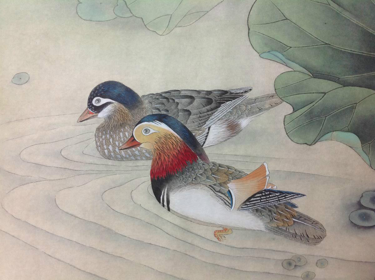 國(guó)畫(huà)荷花，鴛鴦戲水