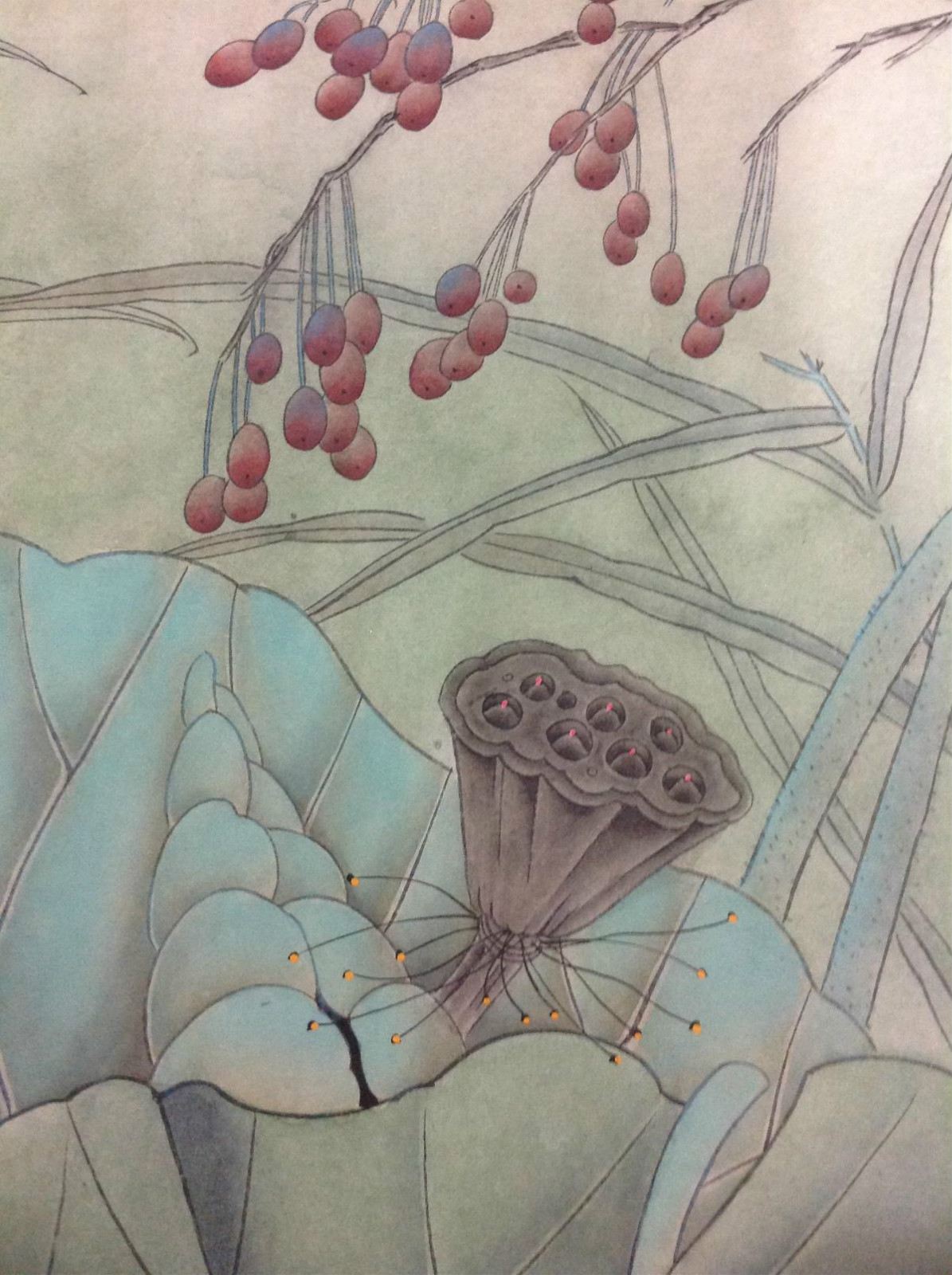 國(guó)畫(huà)荷花，鴛鴦戲水