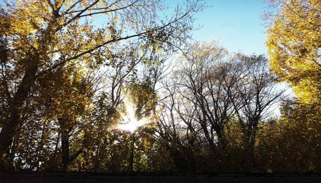 6步人間7步天堂，西藏拉薩布達(dá)拉宮民宿