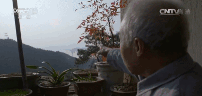 千島湖底水下古城，一筆一畫勾繪故鄉(xiāng)的情懷