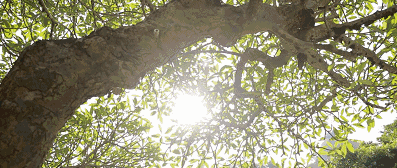 鼓浪嶼喜林閣民宿，遇見心頭歡喜