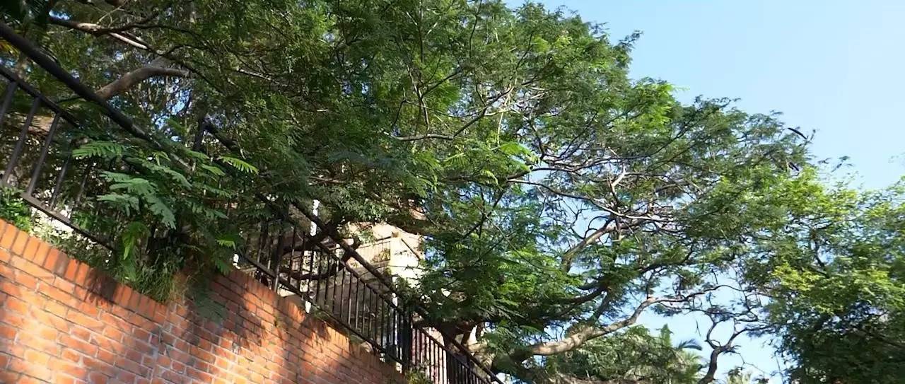 鼓浪嶼喜林閣民宿，遇見心頭歡喜