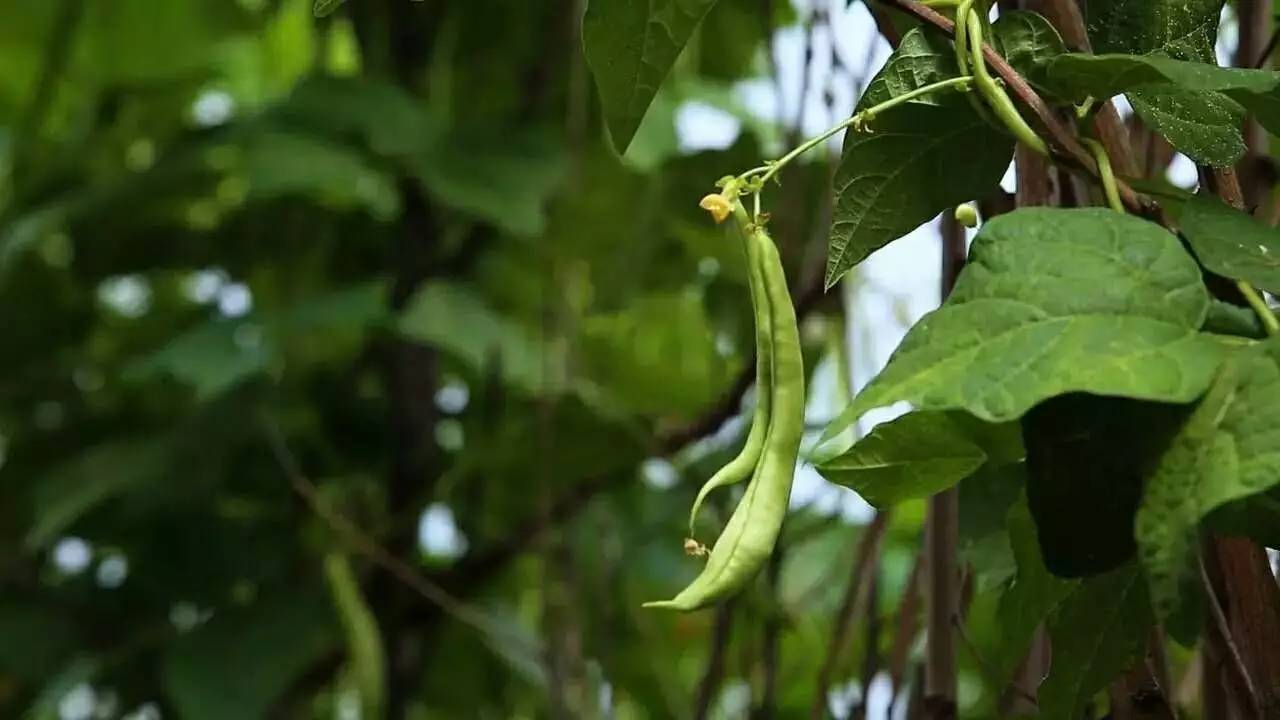 北京延慶畫框里，置身一幅山水長卷妙不可言