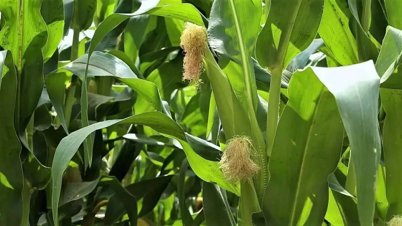 北京延慶畫框里，置身一幅山水長卷妙不可言