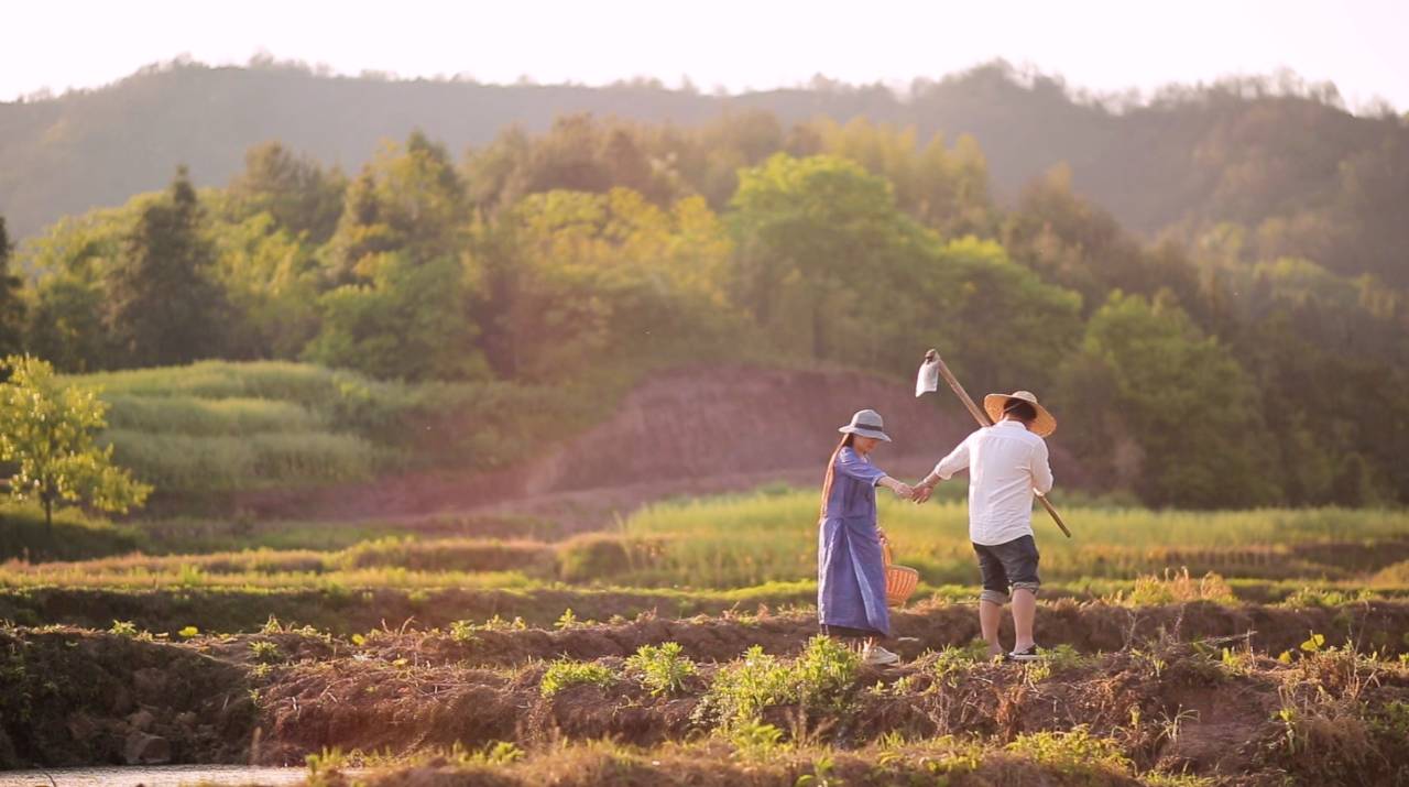 新安江畔谷掌民宿，莊園里享受青山環(huán)繞的美景