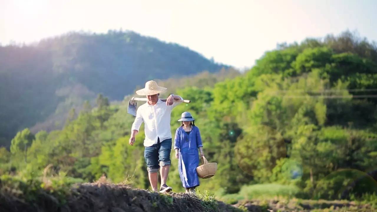 新安江畔谷掌民宿，莊園里享受青山環(huán)繞的美景