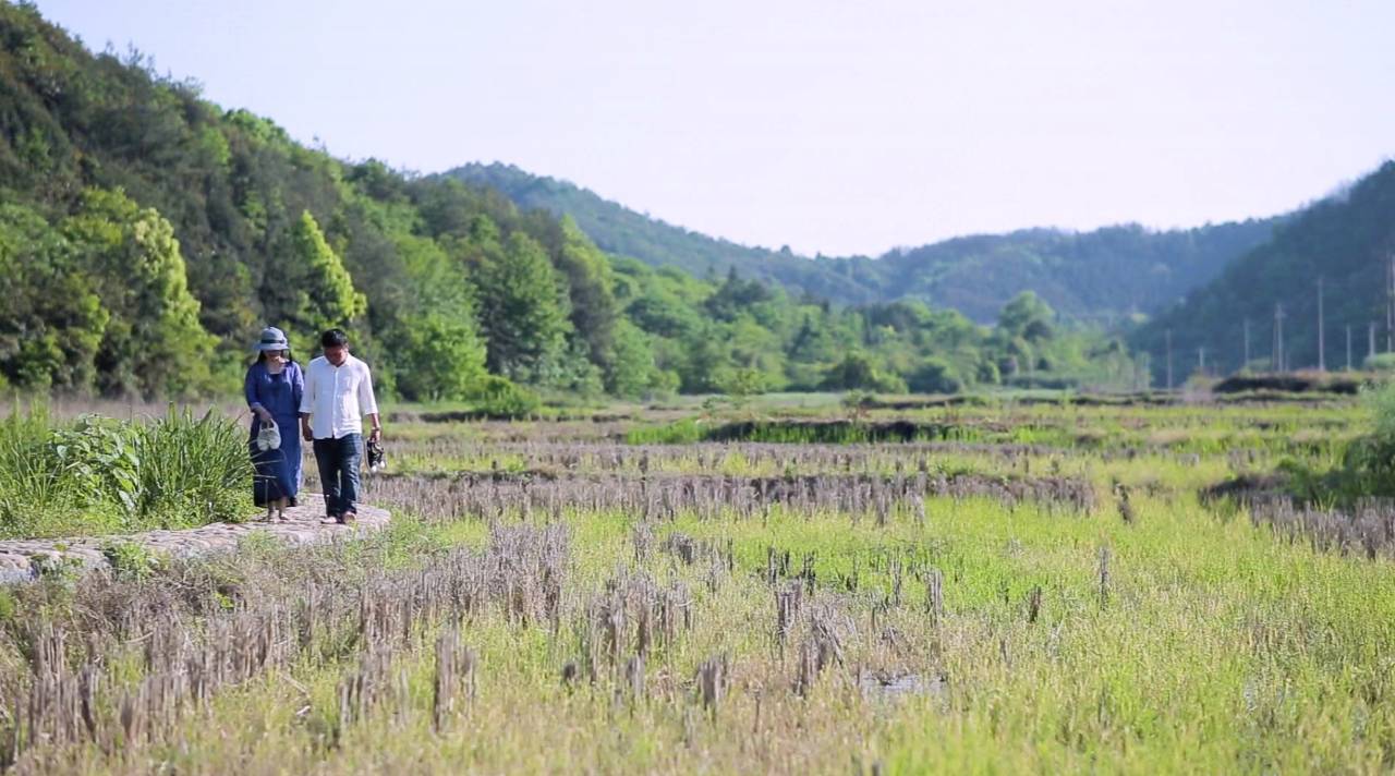 新安江畔谷掌民宿，莊園里享受青山環(huán)繞的美景