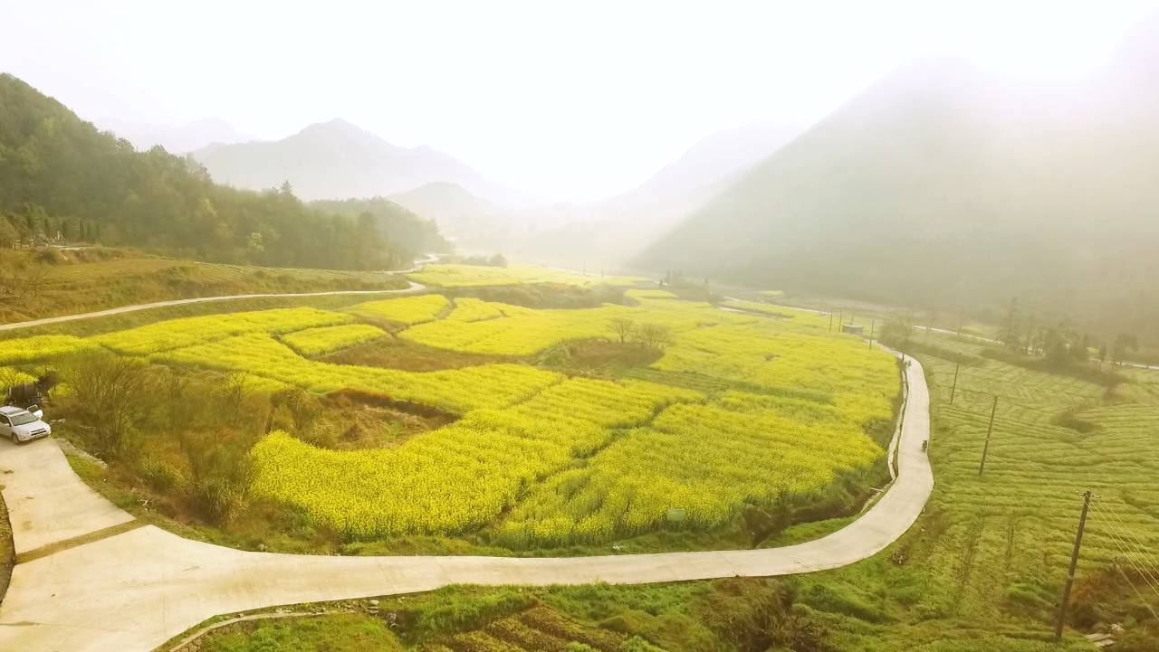 新安江畔谷掌民宿，莊園里享受青山環(huán)繞的美景